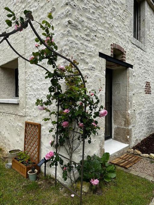 Gite Du Chat Roux La Chapelle-Saint-Martin-en-Plaine Kültér fotó
